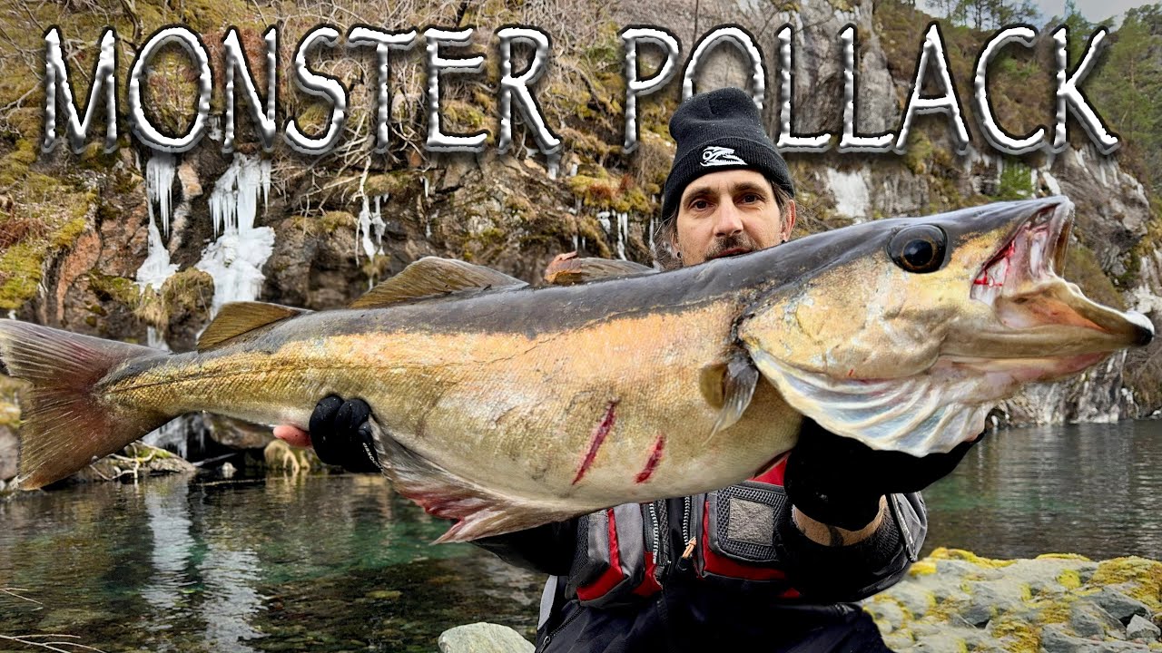 Wer attackiert so einen Monster-Pollack?!
