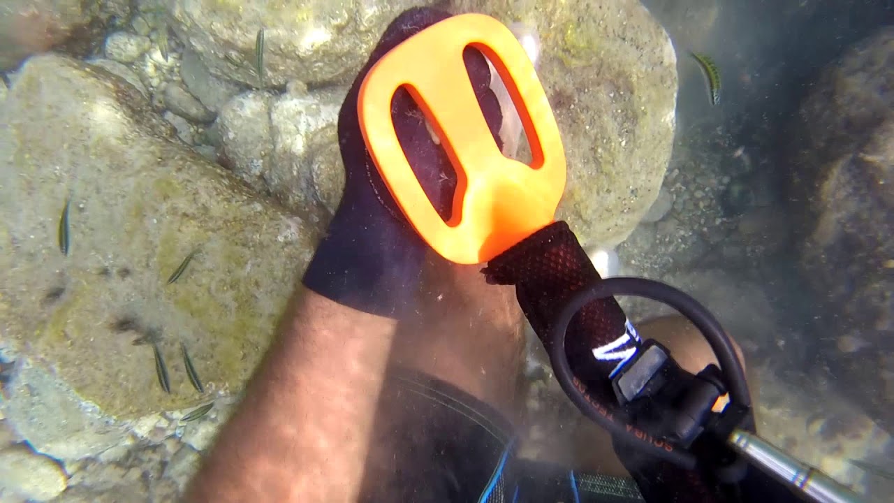 Scuba tector in the volcanic island