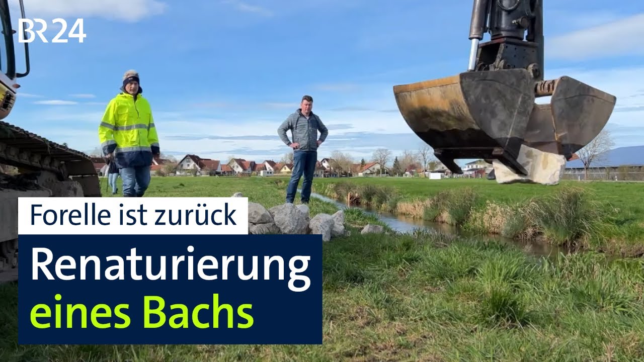 Bach in schlechtem Zustand: Renaturierung zeigt erste Erfolge | Abendschau | BR24