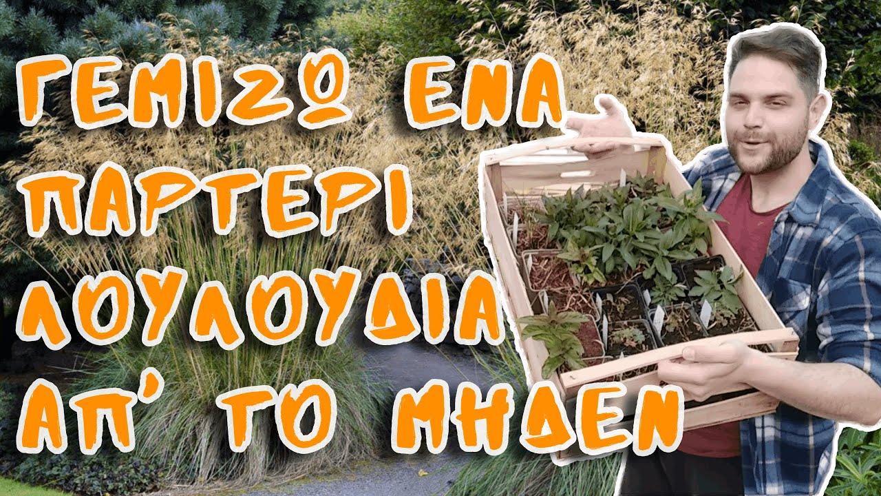 Καινούρια φυτά για ένα μεγάλο παρτέρι!