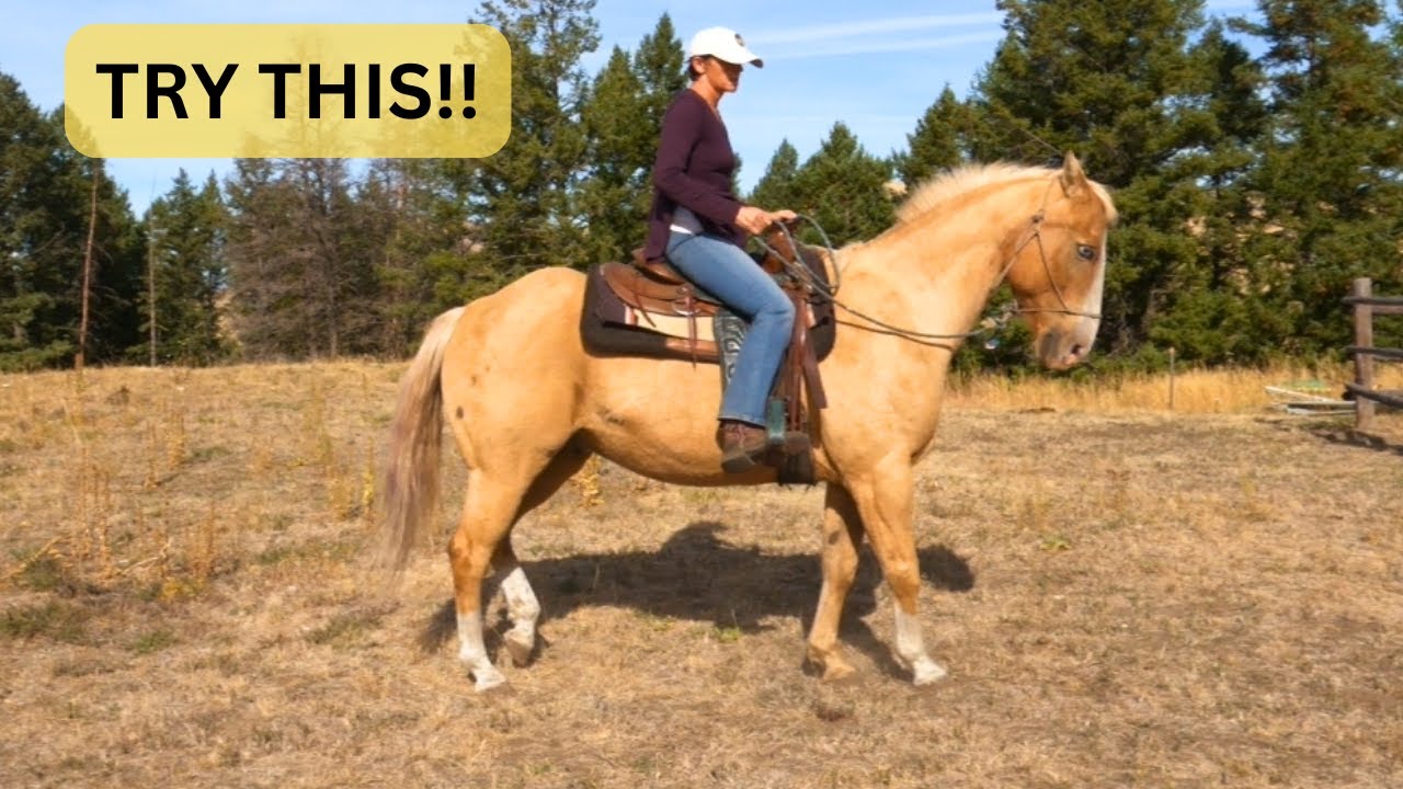 TOP TIPS TO BECOMING A BETTER RIDER!!