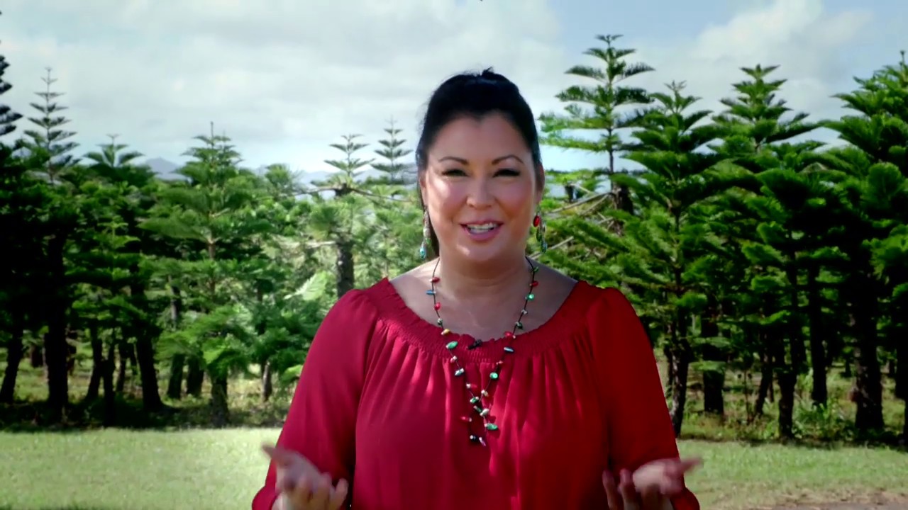 Aloha Career Changers TV