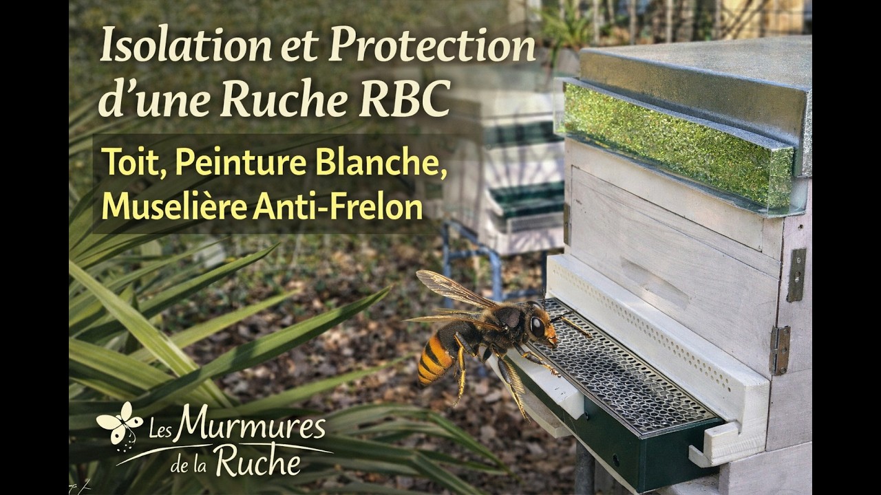 Autoconstruction d'une Ruche Basse Consommation RBC : Comment l'isoler et la protéger ?