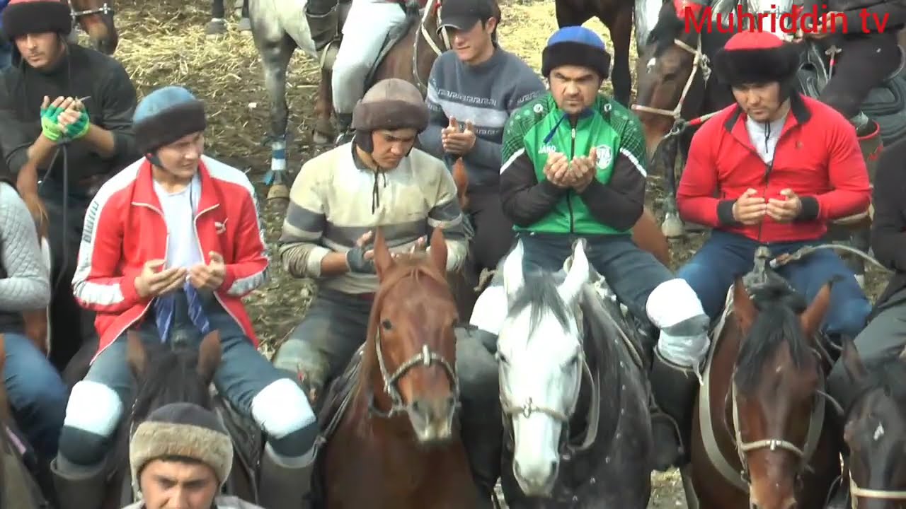 Jomboy tumani Qorapchi qishloq yigʻma exson koʻpkarisi