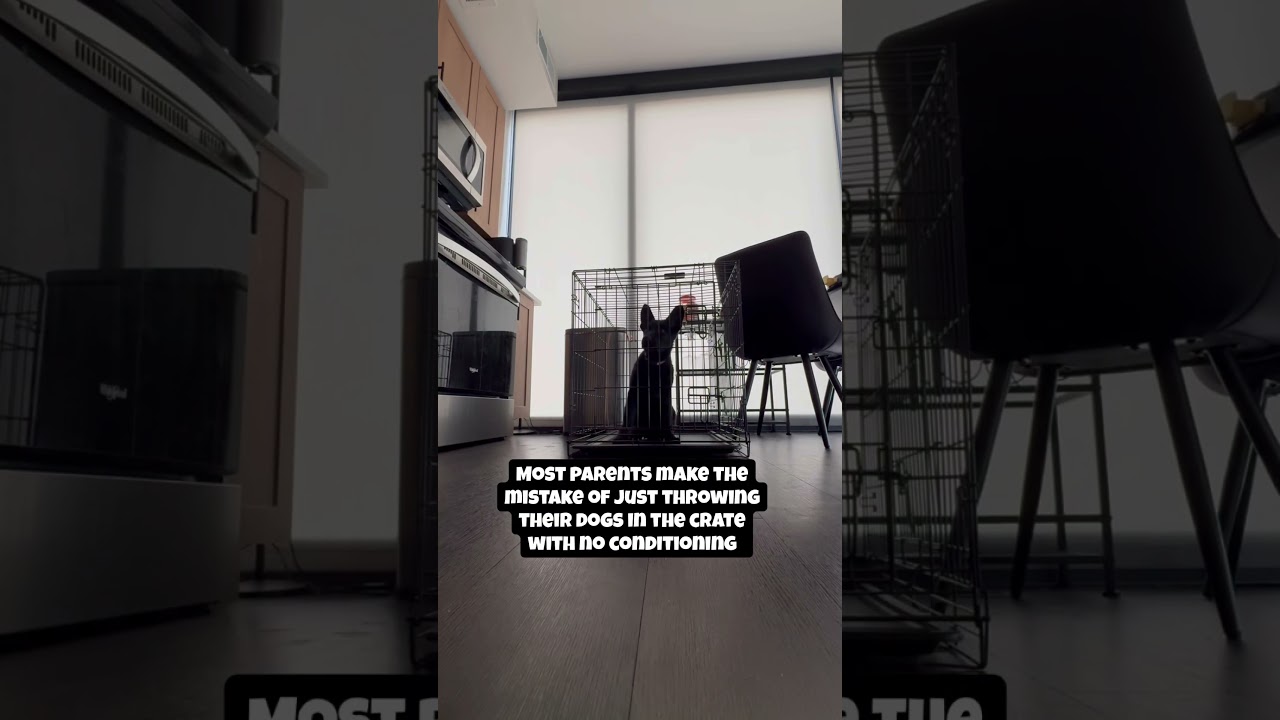 Crate training 