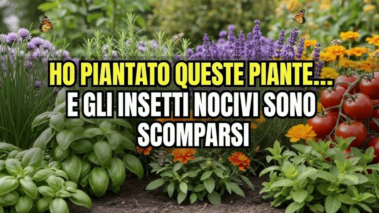 Le 7 Migliori Piante Compagne che Allontanano Immediatamente i Parassiti del Giardino