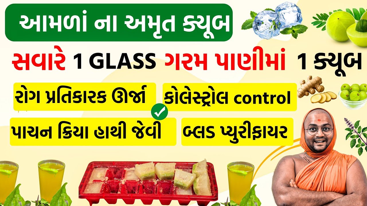 આયુર્વેદ માં આ 100 રોગોની 1 દવા કહી છે 😱😱 આમળાં-તુલસી-આદુ Ice Cubes By Kalpvruksh Swami 