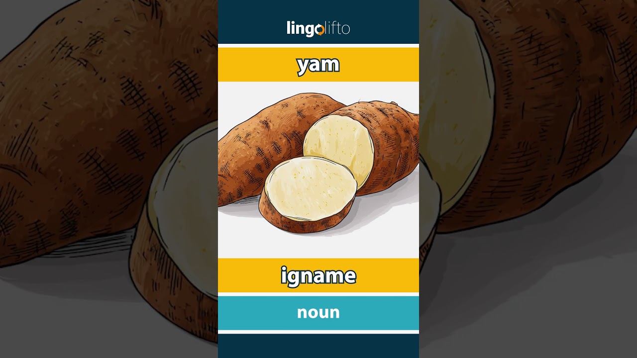 🇬🇧🇫🇷 yam - igname : learn English : apprenons l'anglais : vocabulary builder
