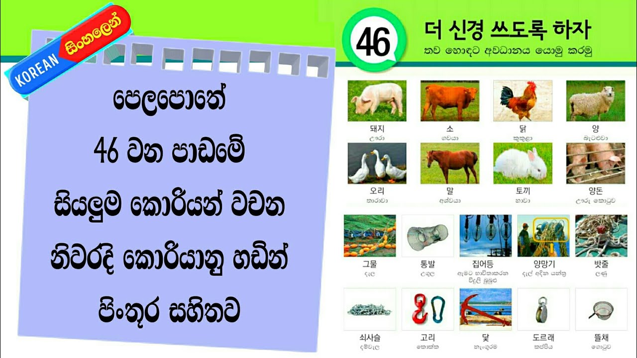 Eps Topik Book Lesson 46 Vocabulary in Sinhala: Korean Words with Pronunciation: Koriyan Wachana