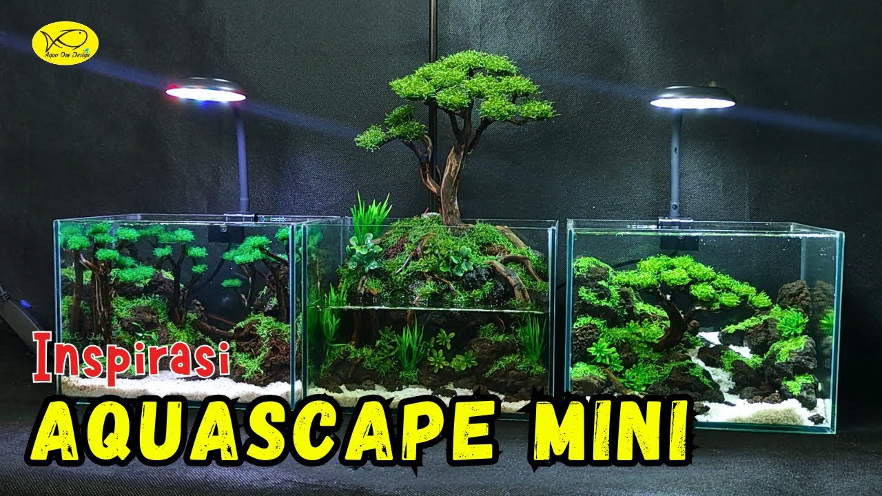 home or office decoration with a mini synthetic aquascape | Aqua One Design