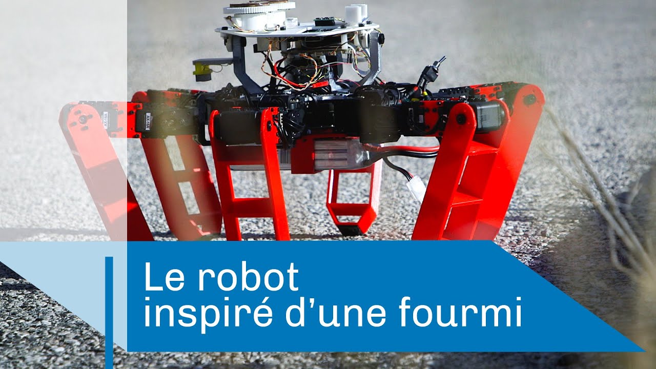 AntBot : le robot fourmi | Reportage CNRS