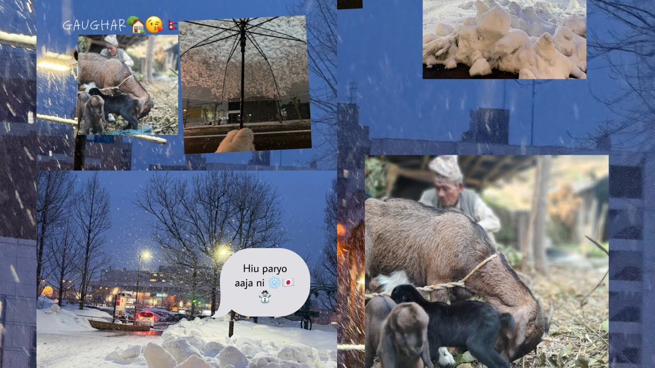 “Cold Snow in Japan but Warm Love for Nepal 🇳🇵❤️”😘Misssng my home🥲🇳🇵🇳🇵💘💘