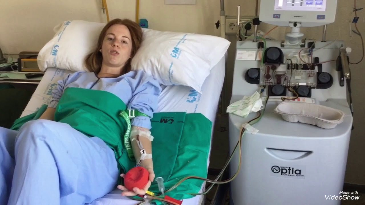 Donación de Médula Ósea por aferesis “no duele nada”