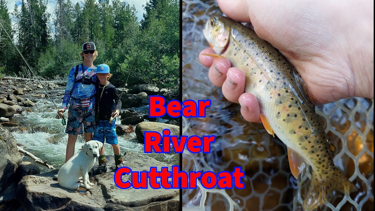 Utah Cutthroat Slam Hunting For Bear River Cutthroat! Part 4