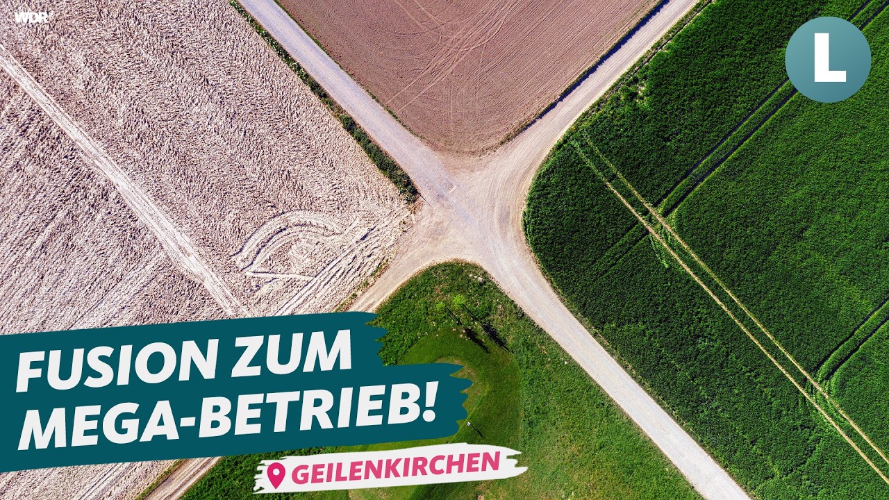 6 Landwirte teilen sich 800 Hektar?! 🤔 Neues Konzept Sharecropping | WDR Lokalzeit Land.Schafft.