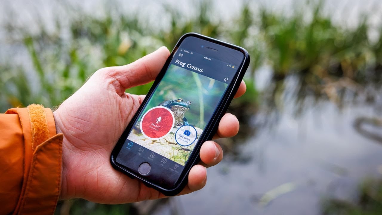 Hop into Frogging - Learn to identify and record frogs