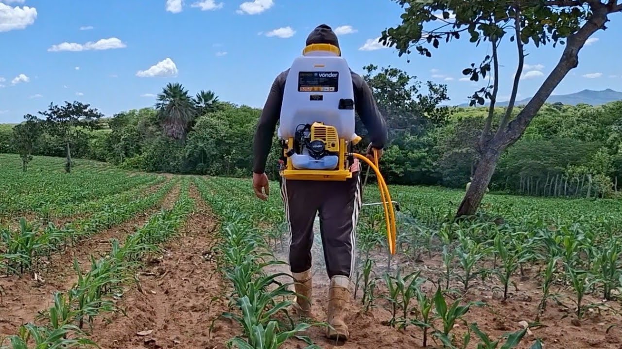 Comprei um pulverizador costal vonder motorizado 