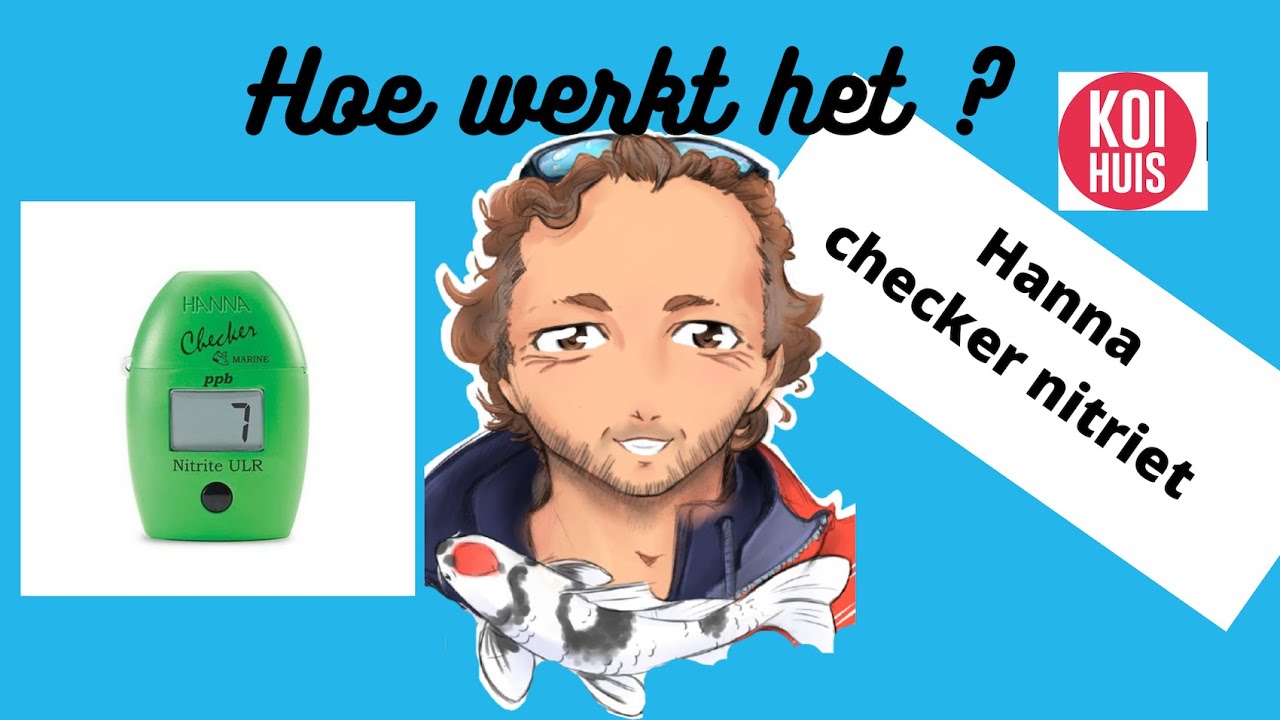 КАК ЭТО РАБОТАЕТ? HANNA CHECKER NITRITE | koihuis.nl
