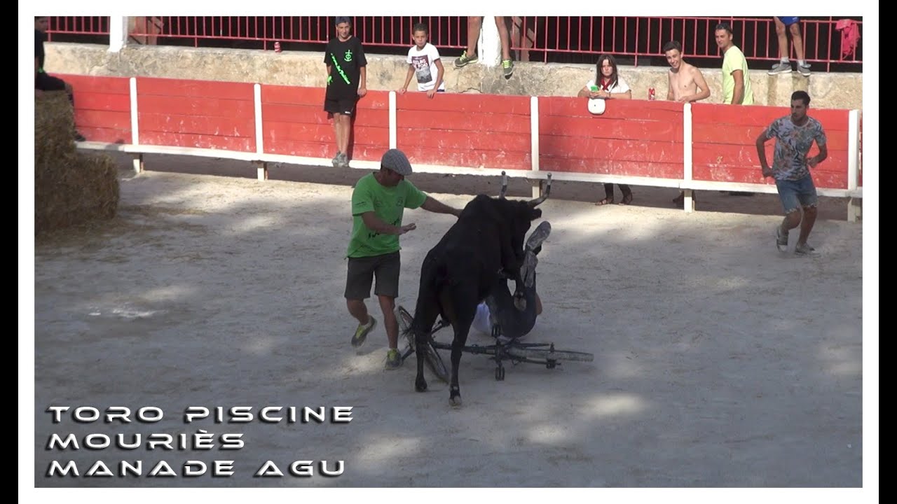 Toro Piscine Mouriès 27-08-2015