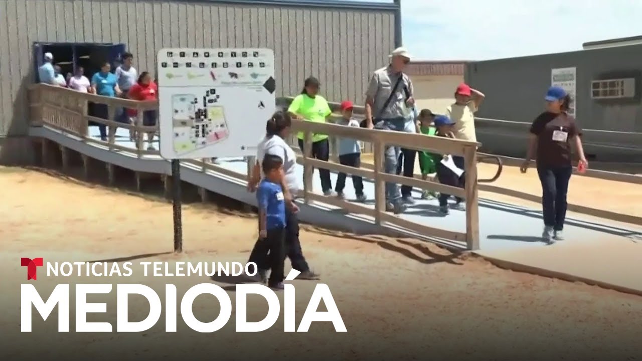 En 11 ocasiones han llamado al 911 para pedir ayuda médica urgente para niños arrestados por ICE