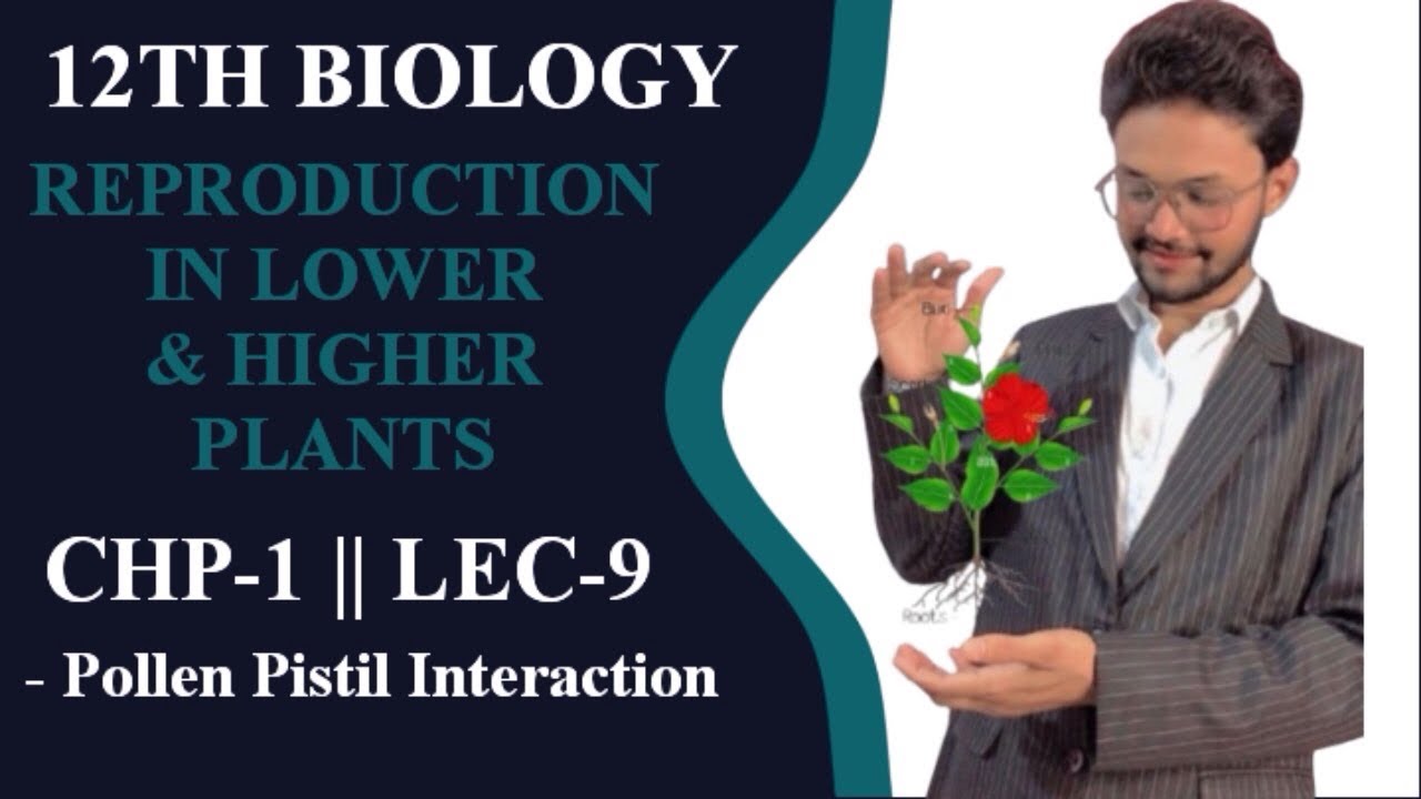 12TH BIOLOGY || REPRODUCTION IN LOWER & HIGHER PLANTS || CHP-1 || LEC-09 || MAHARASHTRA BOARD 