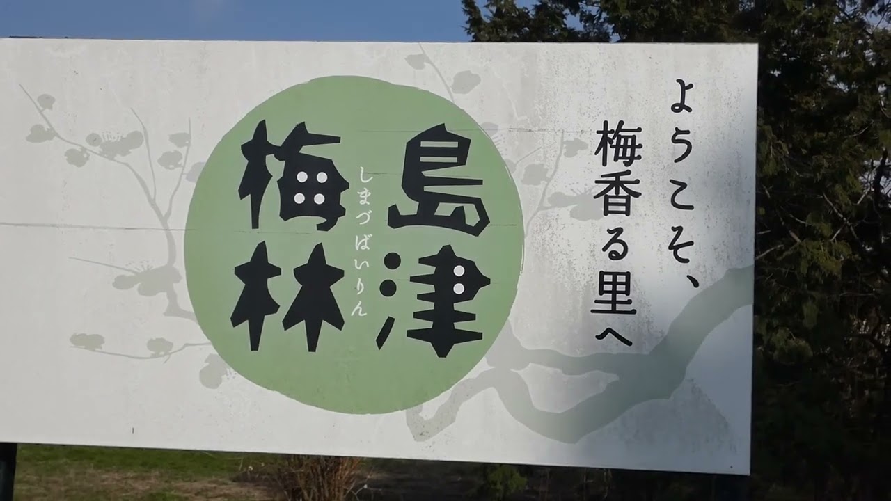 阿見町島津・島津梅林