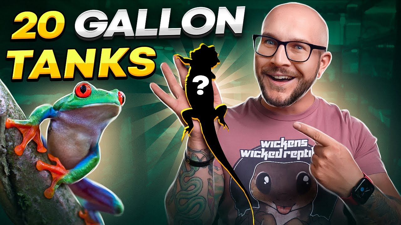 Top 5 Reptiles That Can Live in 20 Gallon Tanks FOREVER! | Pt IV