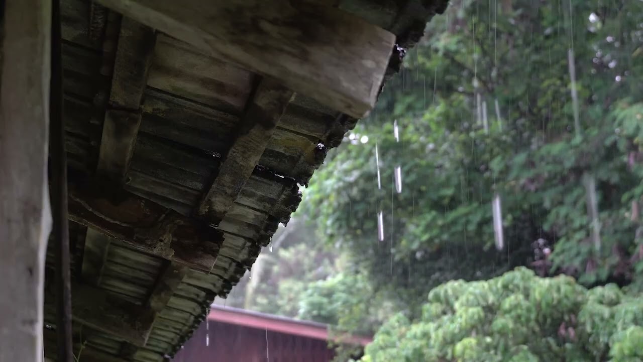 2-Hour Rainfall Ambience to Relax and Sleep