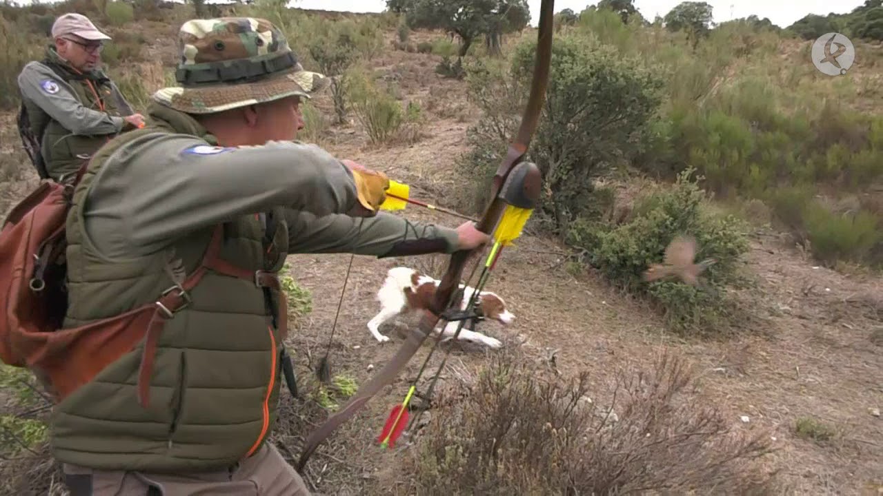 Jornada de caza a la perdiz con los campeones y subcampeones de España | Cazadores de lances