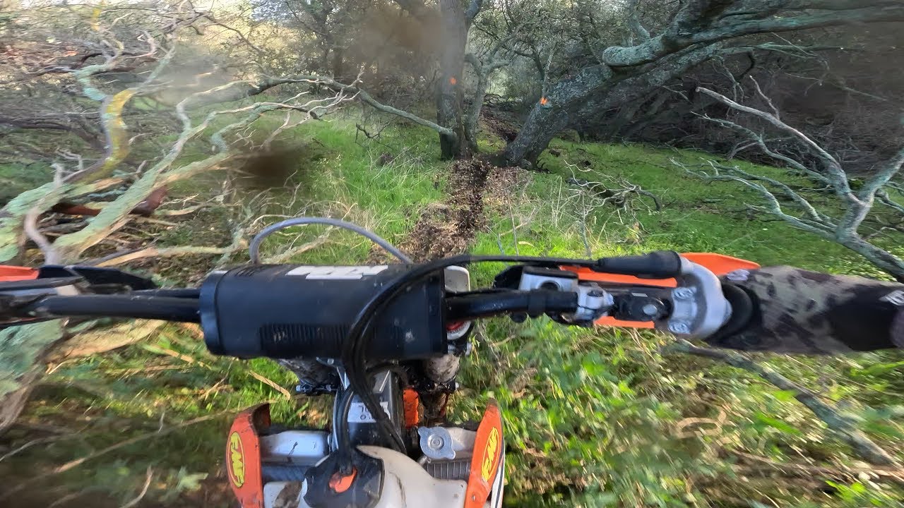 PRIVATE GNARLY HARESCRAMBLE COURSE