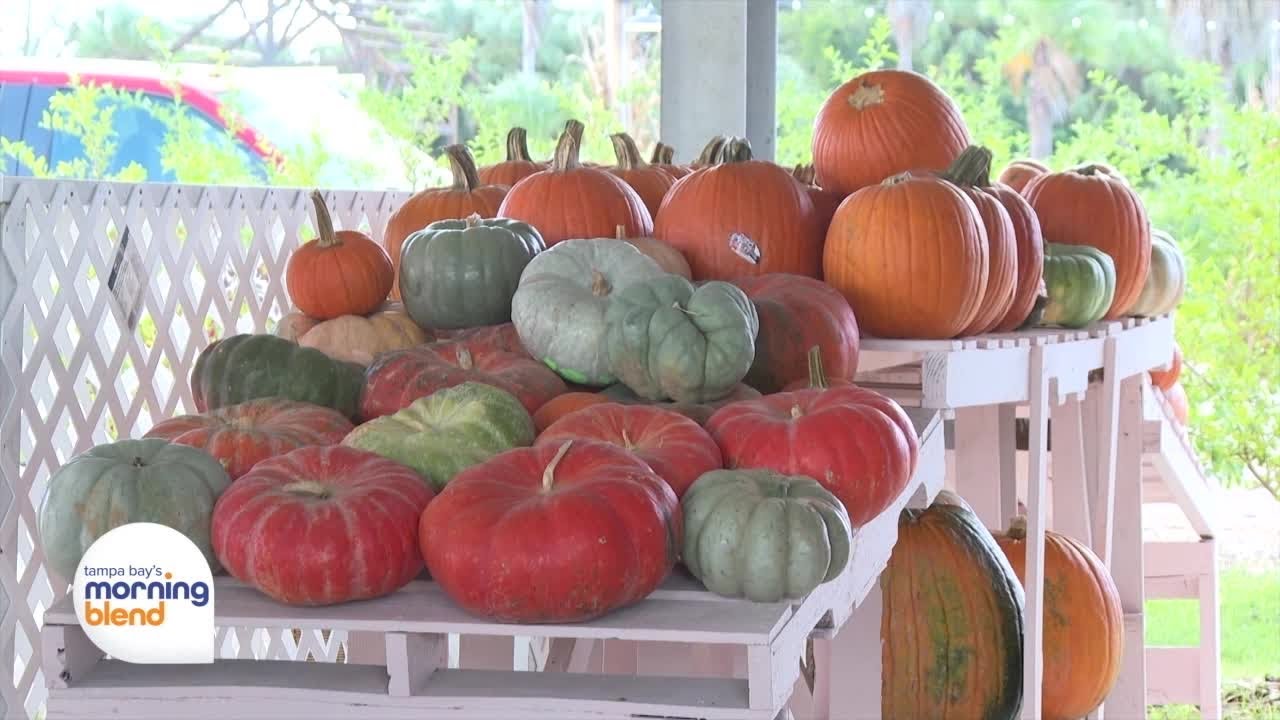 Ananda Farm Welcomes Fall with Festival, Pumpkin Patch & Family Fun
