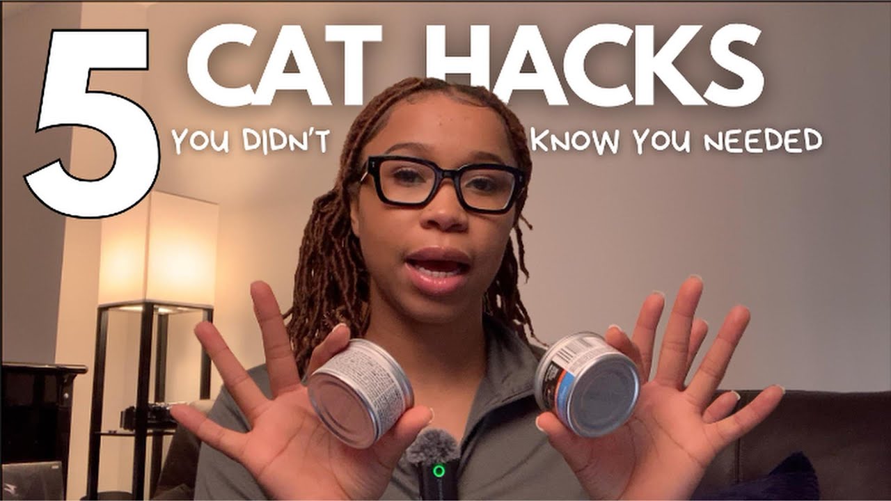 5 Cat Parenting Hacks You Didn’t Know You Needed