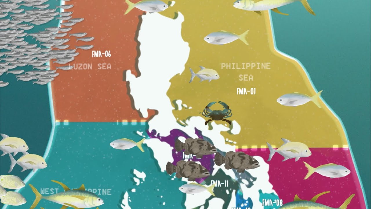 Introducing Fisheries Management Areas