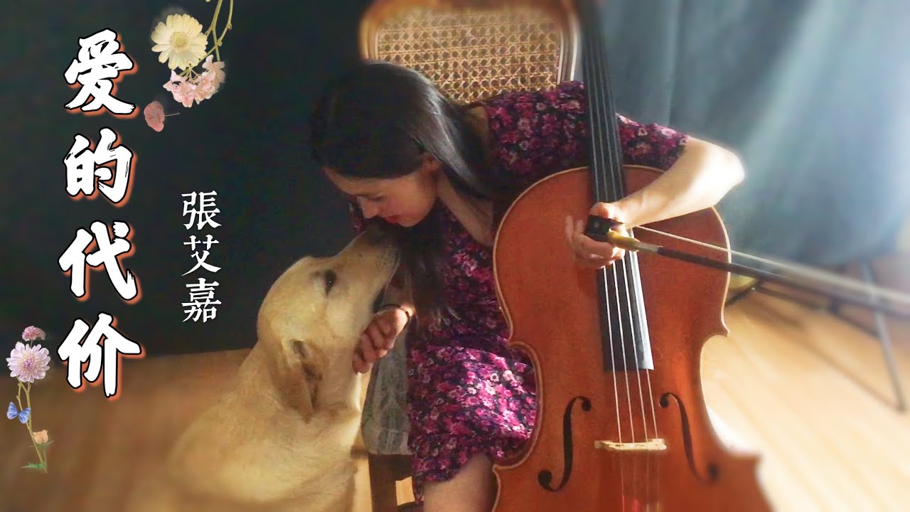 大提琴《爱的代价》李宗盛/Cello cover: The price of love