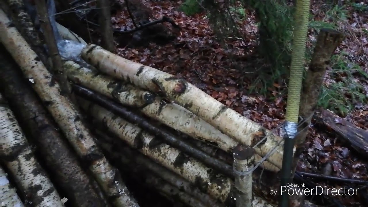 Bushcraft:  Working on my bugout location in the rain