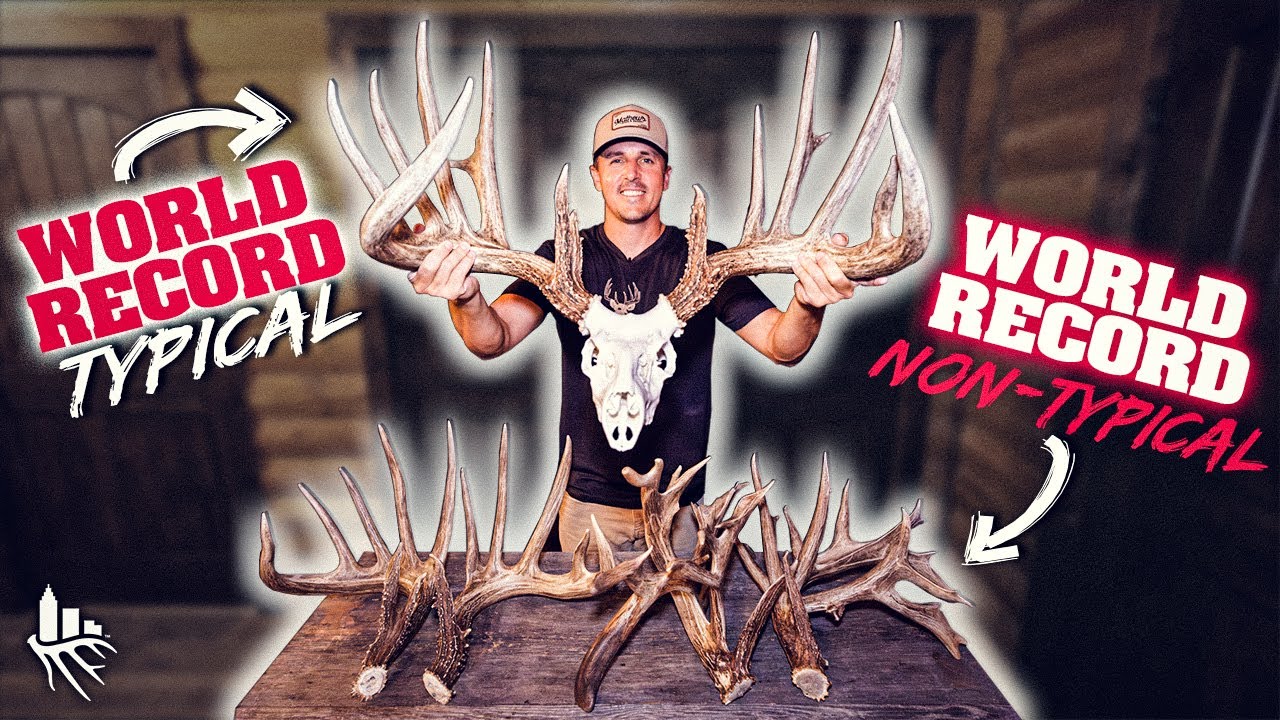 THE LARGEST TYPICAL EVER! Story of “The General” ($1,000,000 Antlers!)