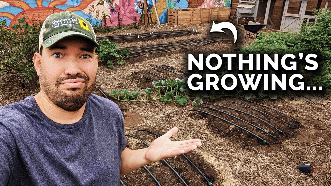 My Garden Is Almost Empty...