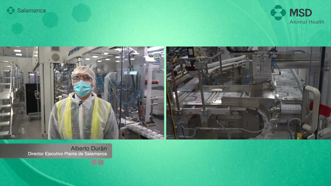 España recibe el primer lote de SPHEREON® producido en la Planta de Salamanca de MSD Animal Health