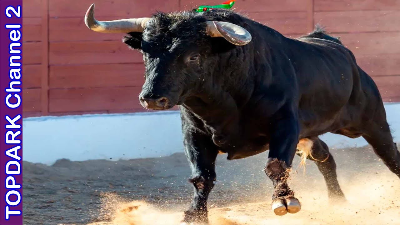 10 Especies End&eacute;micas de Espa&ntilde;a