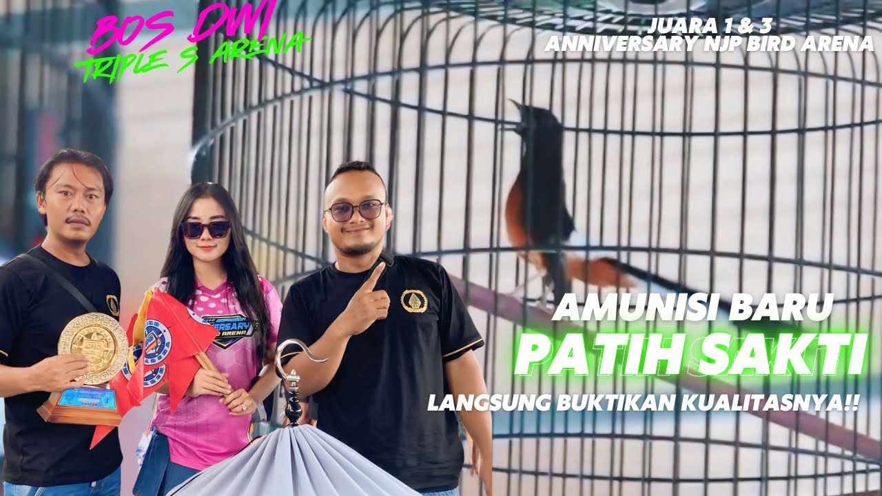PATIH SAKTI‼️Amunisi Bos Dwi Buktikan Kualitas🔥Sabet Juara 1&3‼️Anniversary NJP BIRD ARENA