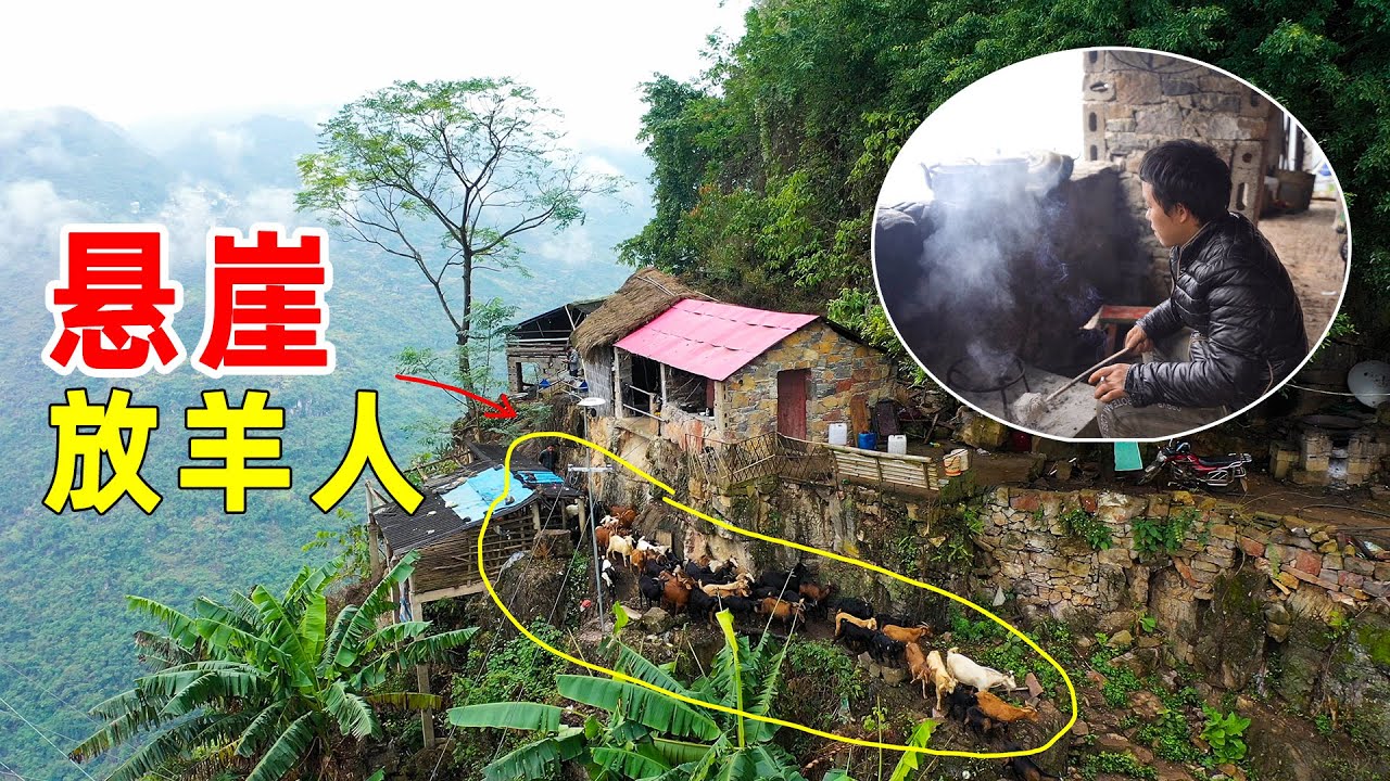 80後小伙獨自隱居懸崖上養羊，年收入100000，過著神仙般的生活【貴州李俊】