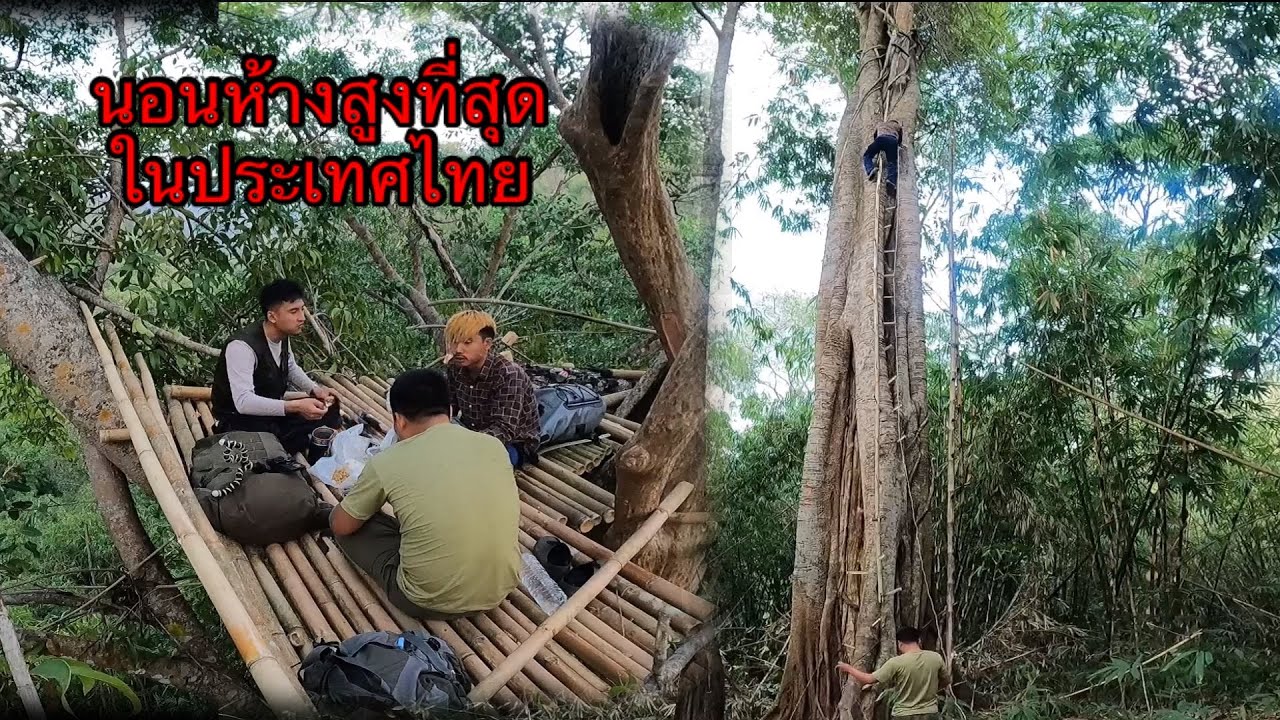 นอนห้างต้นไทรที่สูงที่สุดในประเทศ มีเสียงกรีดร้องกลางคืนคล้ายเสียงผู้หญิง