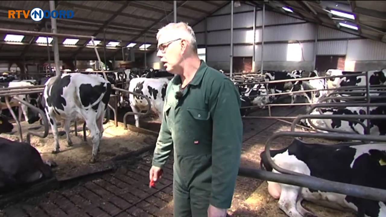 Cunera over de bedrijfsopvolging bij boeren [14-6-2015] - RTV Noord