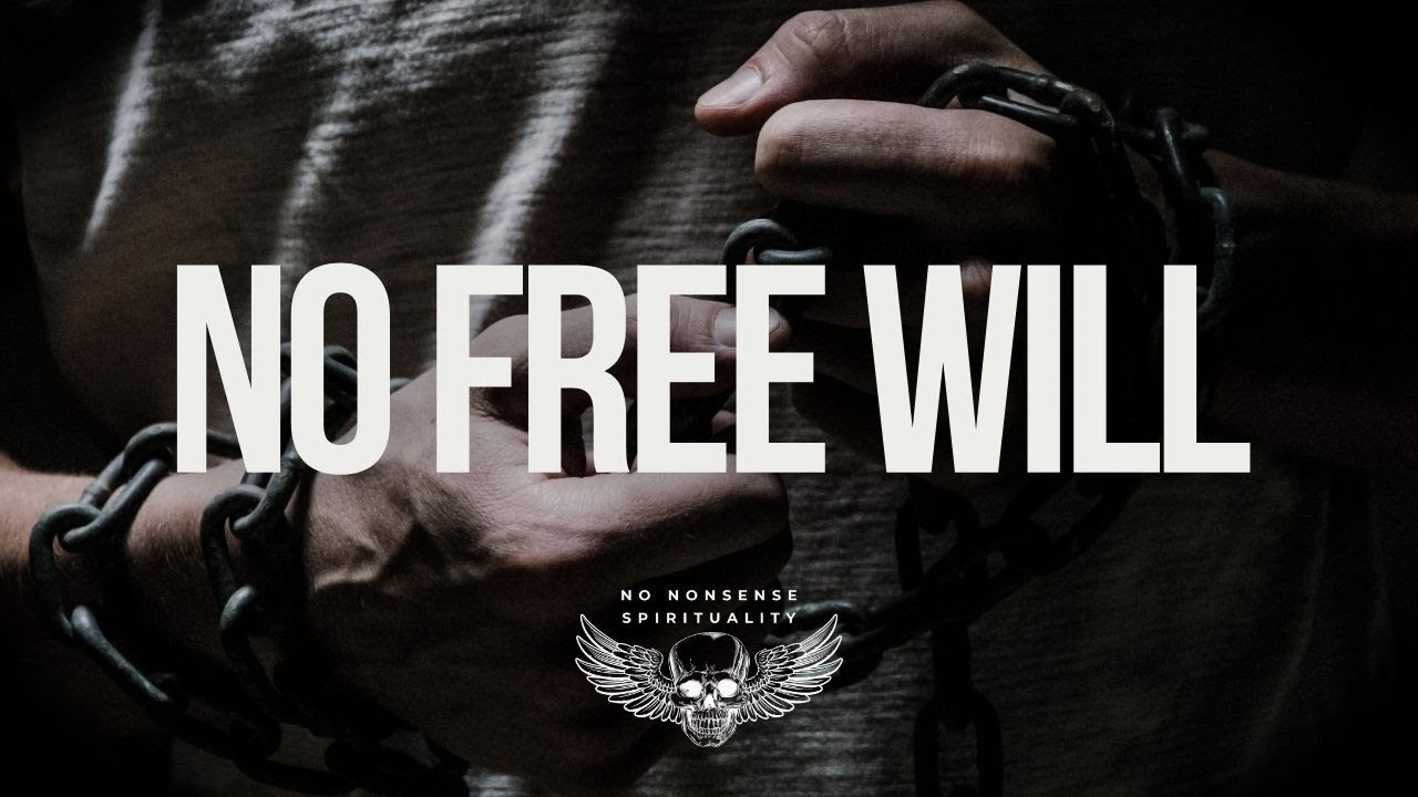 Why Free Will is a Lie! (And What That Means for You)