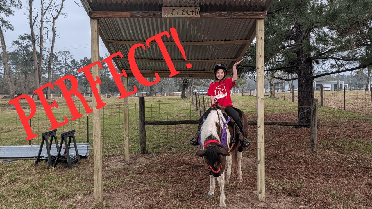Electra's Horsey Hangout