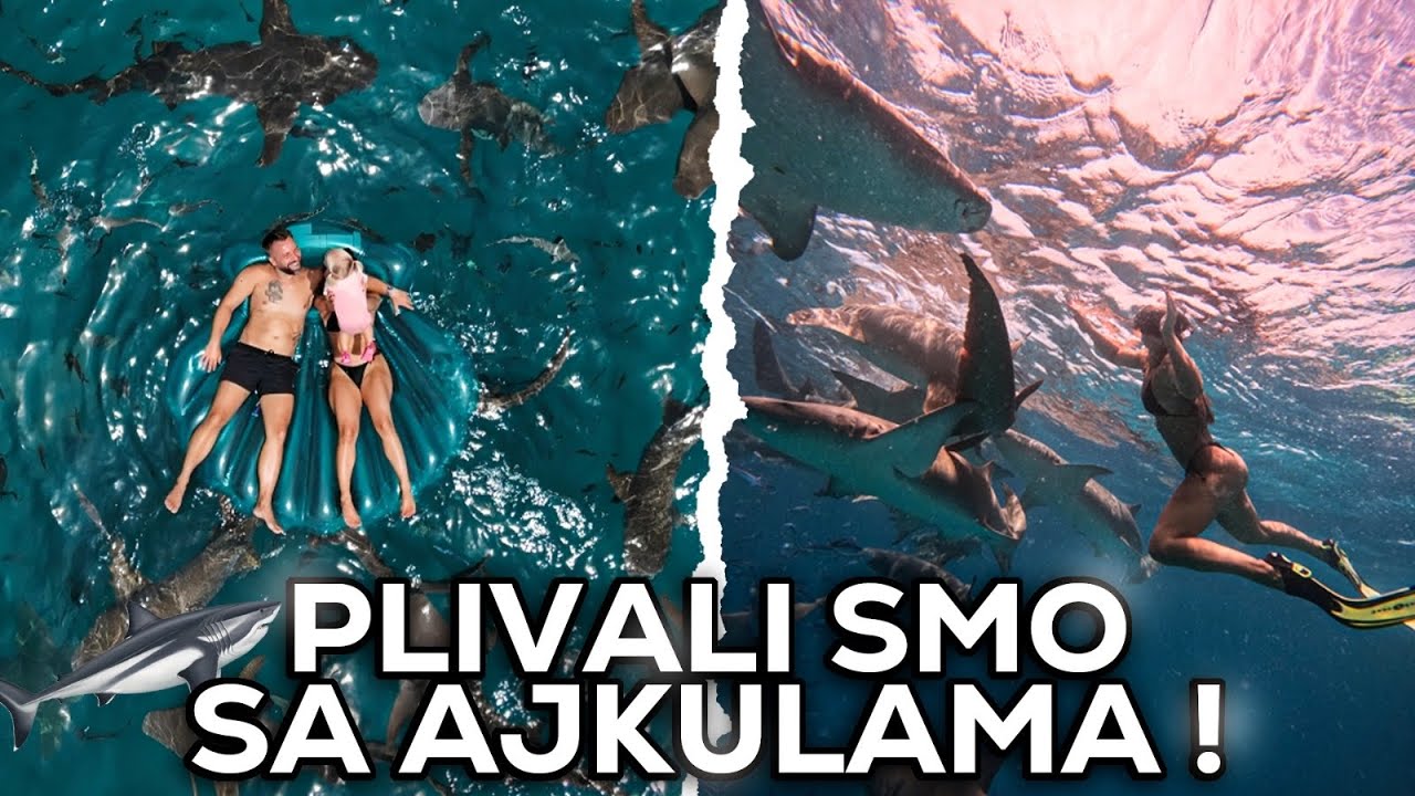 🌊 Plivanje sa ajkulama i ražama na Maldivima – NAJLEPŠE ISKUSTVO! 🦈💙