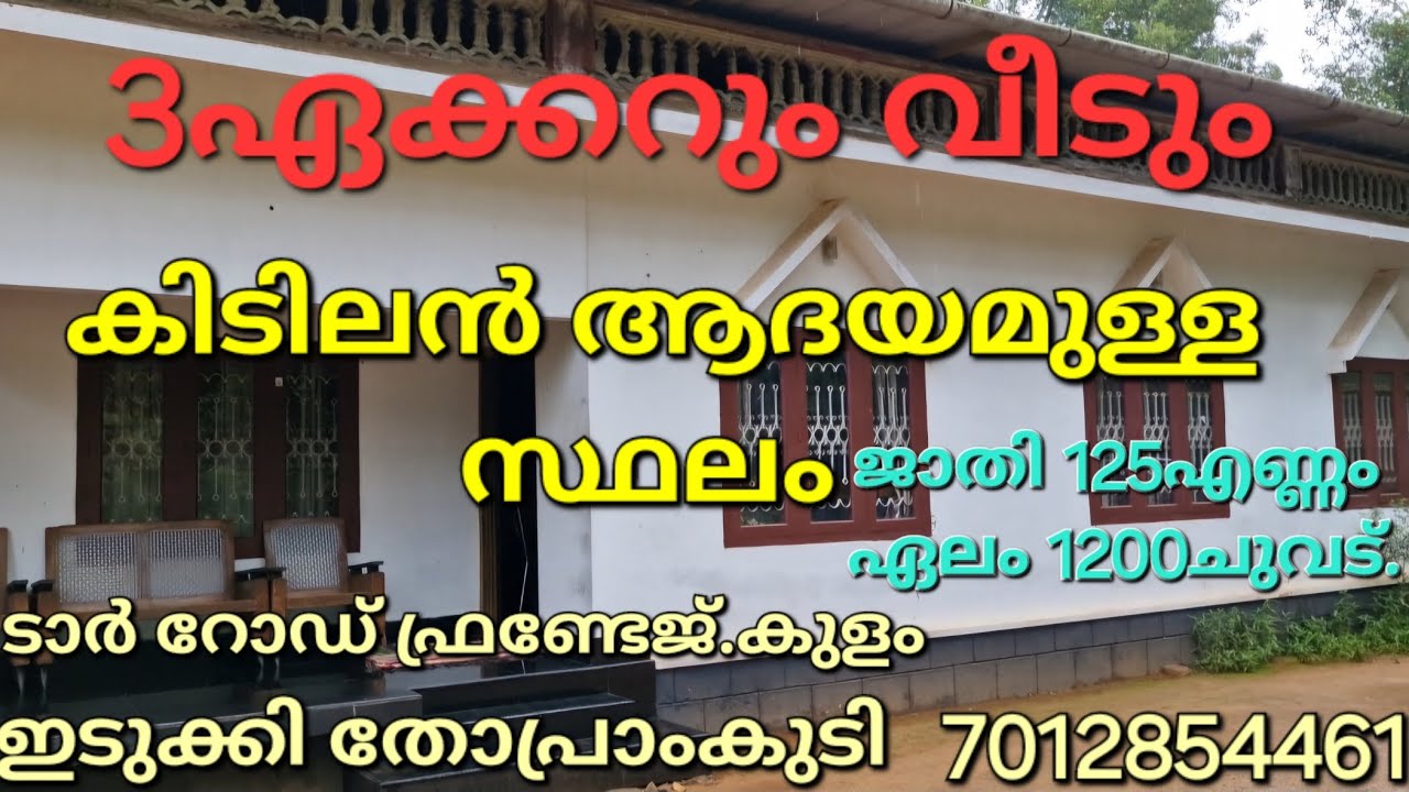 കിടിലൻ ആധായമുള്ള 3ഏക്കറും വീടും.. ജാതി 125എണ്ണം. ഏലം 1200ചുവട്. ടാർ റോഡ്. കുളം തോപ്രാംകുടി ഇടുക്കി 👇