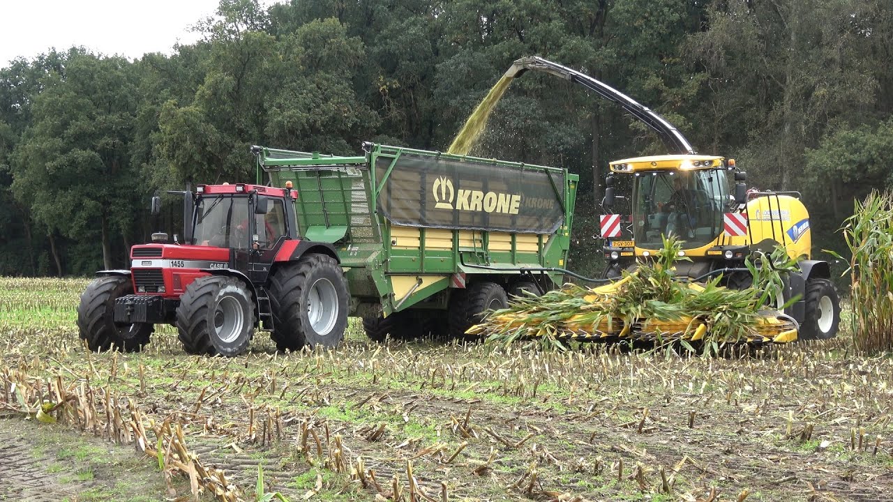 Zandman aan het mais hakselen in Beerze met New Holland FR, Case IH 1455 XL en Steyr CVT 6160 (2020)