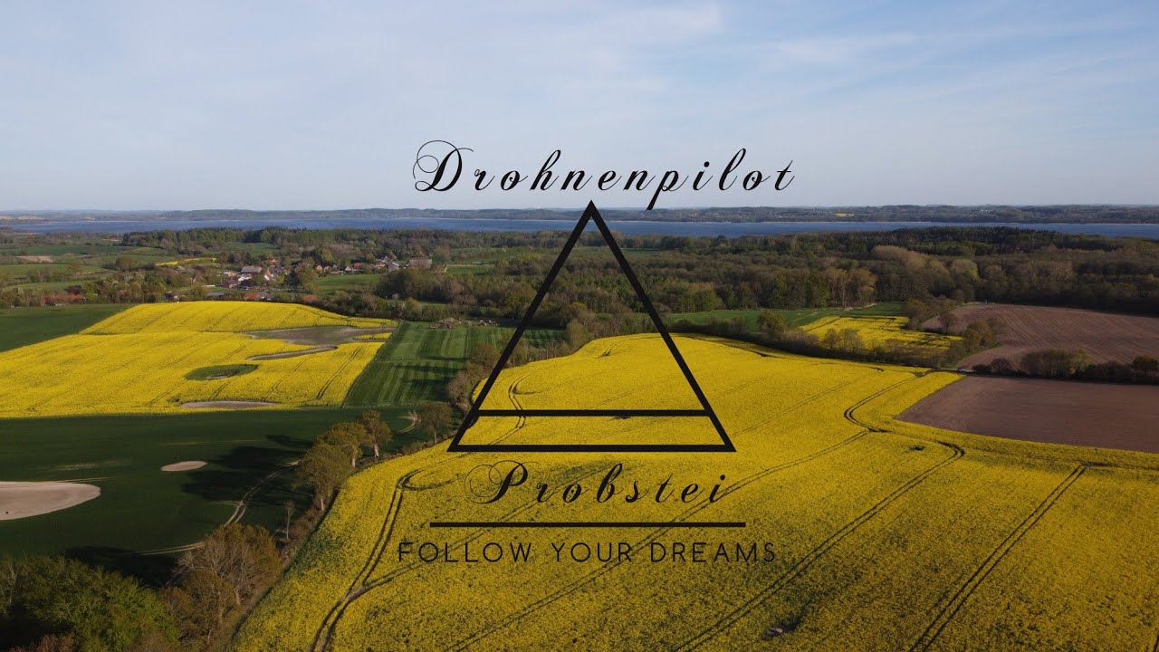 Drohnenflug über Rapsfelder in der Probstei / Plön , Schleswig Holstein , DJI MINI 2