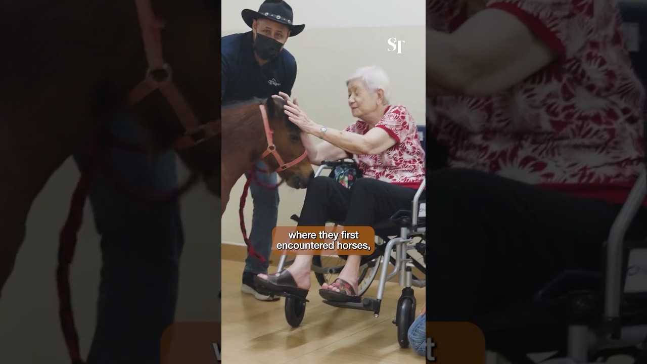 Mini horses bring big smiles to seniors